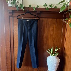 Banana Republic Midnight Blue Trousers